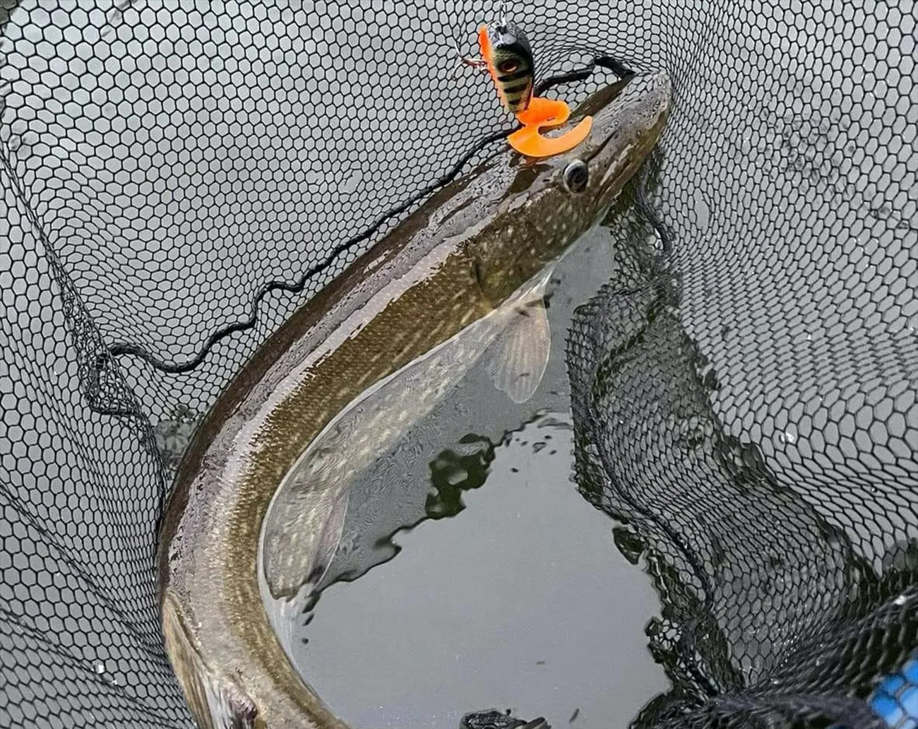 Brunnberg Lures Original Jerk